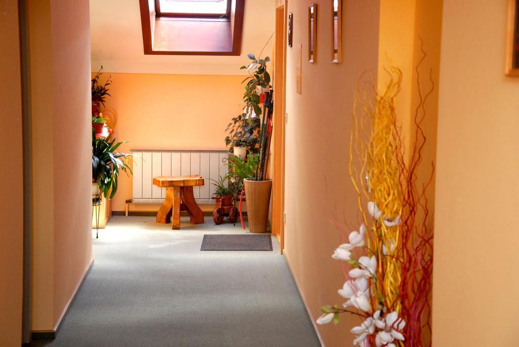 Fruehstueckspension Wiesenhaus Miesenbach  외부 사진